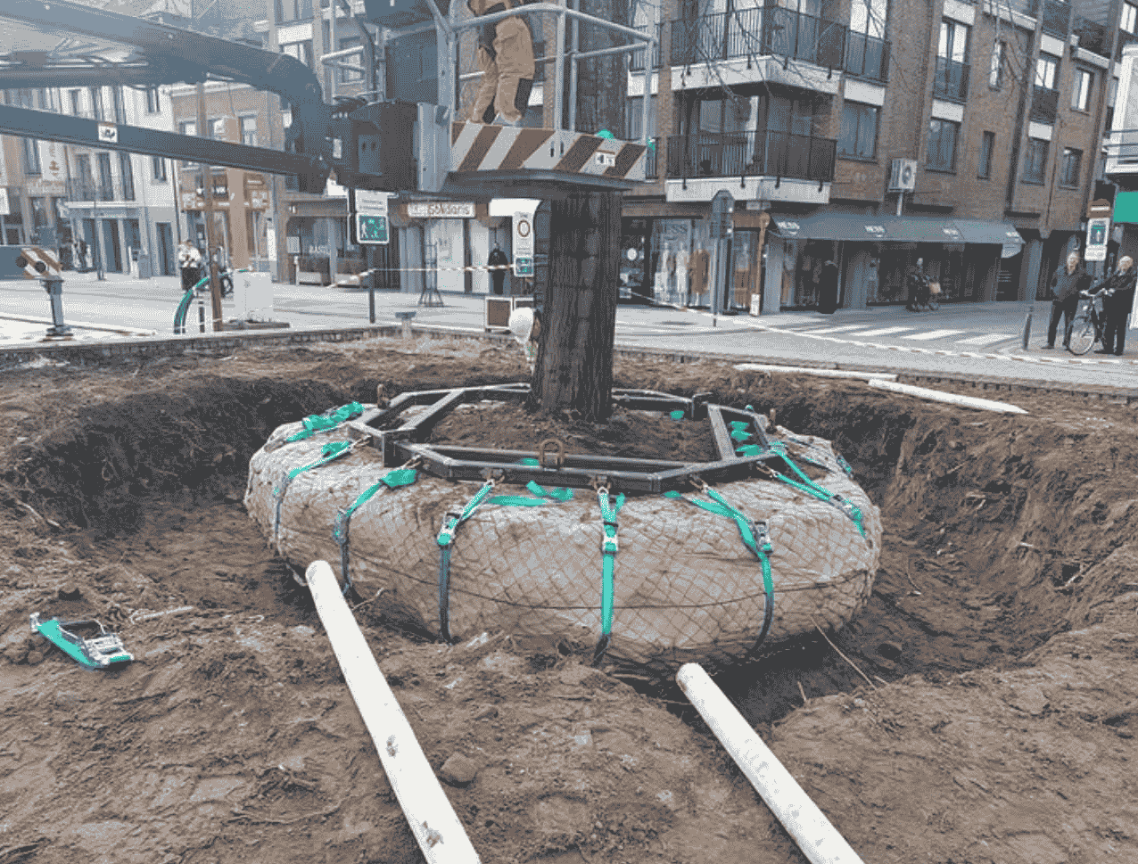 Volledig zelfgemaakte Hijsjuk voor het verplaatsen van bomen